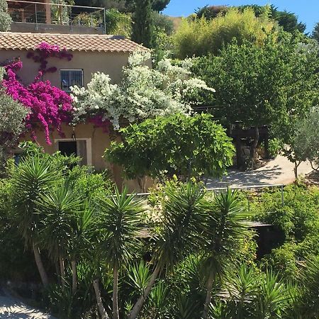 Les Terrasses Sur Mer Ollioules Dış mekan fotoğraf