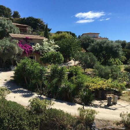 Les Terrasses Sur Mer Ollioules Dış mekan fotoğraf