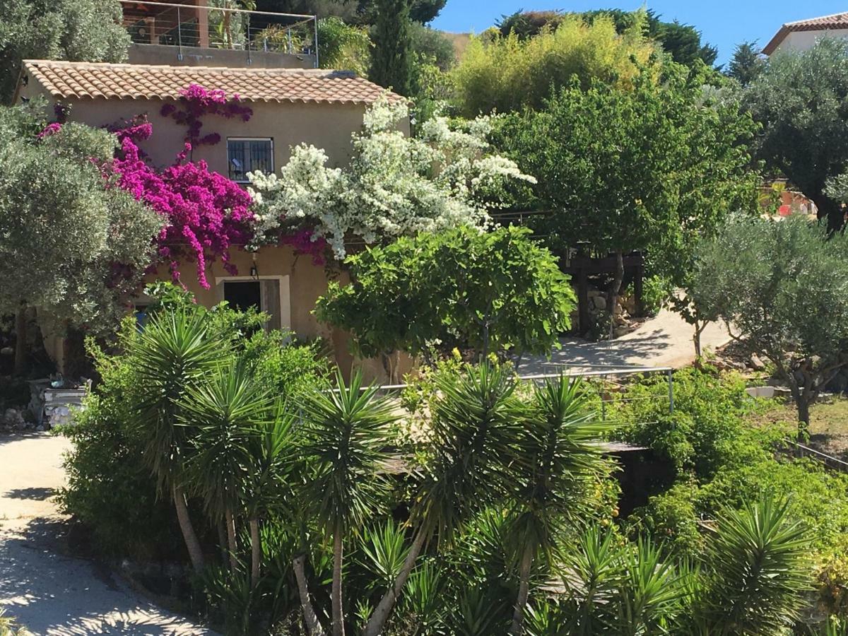 Les Terrasses Sur Mer Ollioules Dış mekan fotoğraf