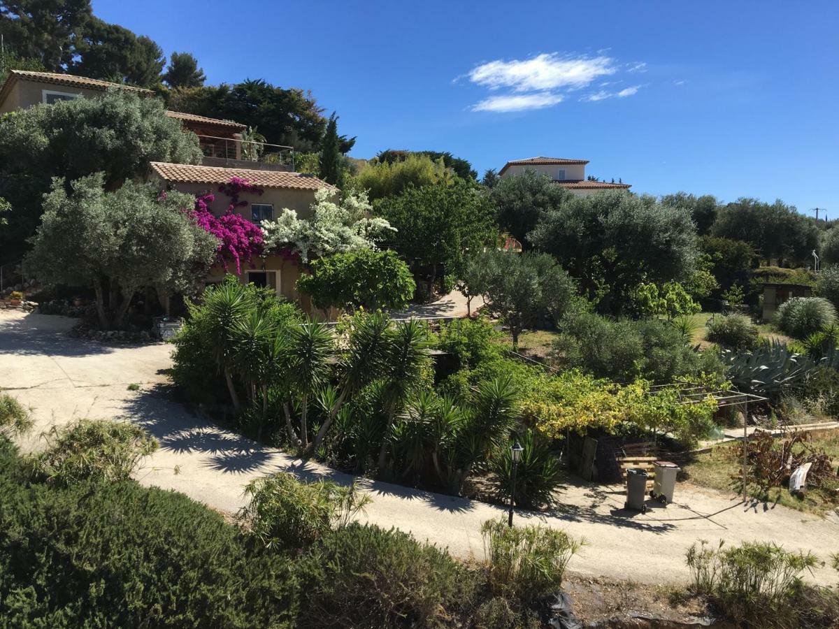 Les Terrasses Sur Mer Ollioules Dış mekan fotoğraf