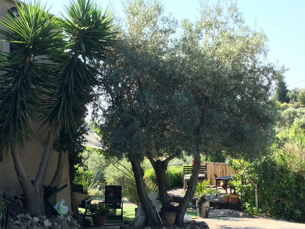 Les Terrasses Sur Mer Ollioules Dış mekan fotoğraf