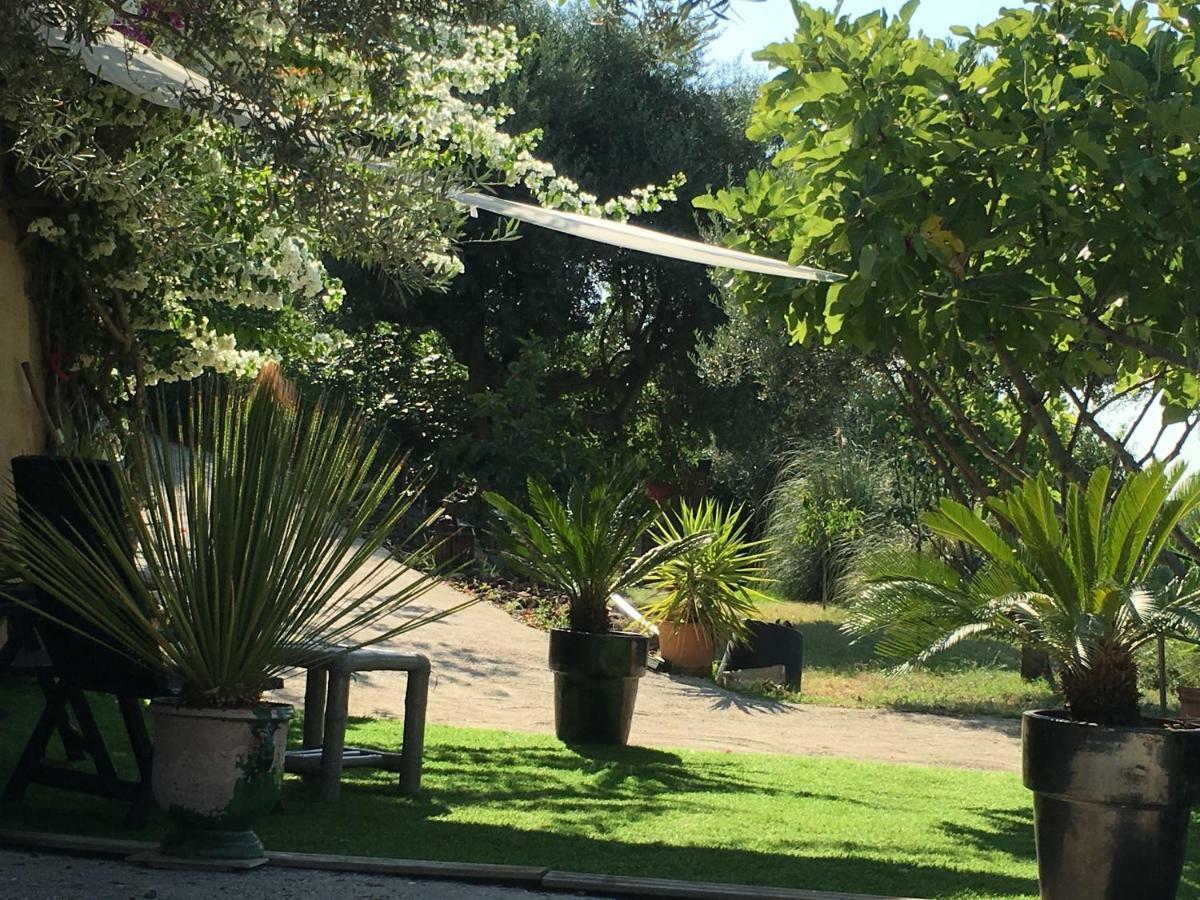 Les Terrasses Sur Mer Ollioules Dış mekan fotoğraf