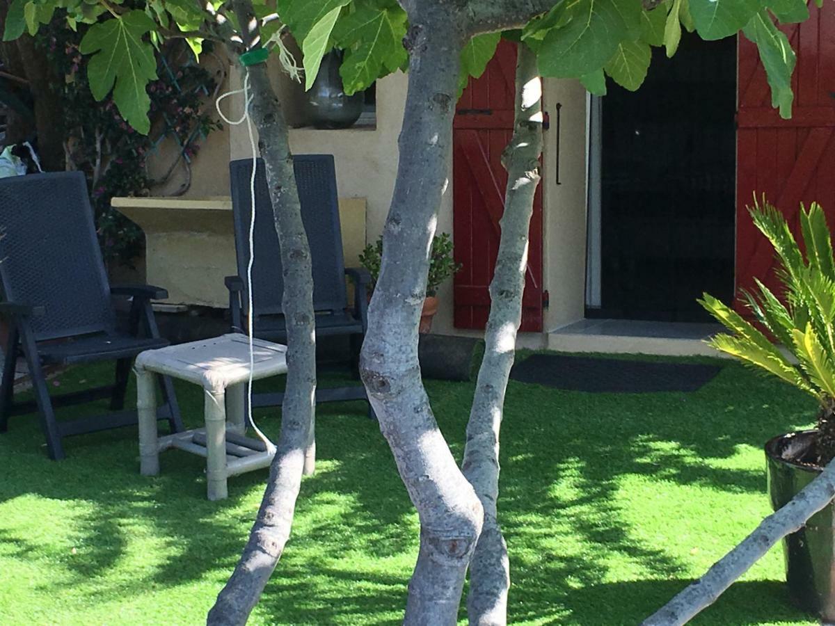 Les Terrasses Sur Mer Ollioules Dış mekan fotoğraf